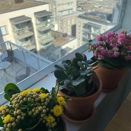 Appartement Casa Onni à Helsinki Extérieur photo